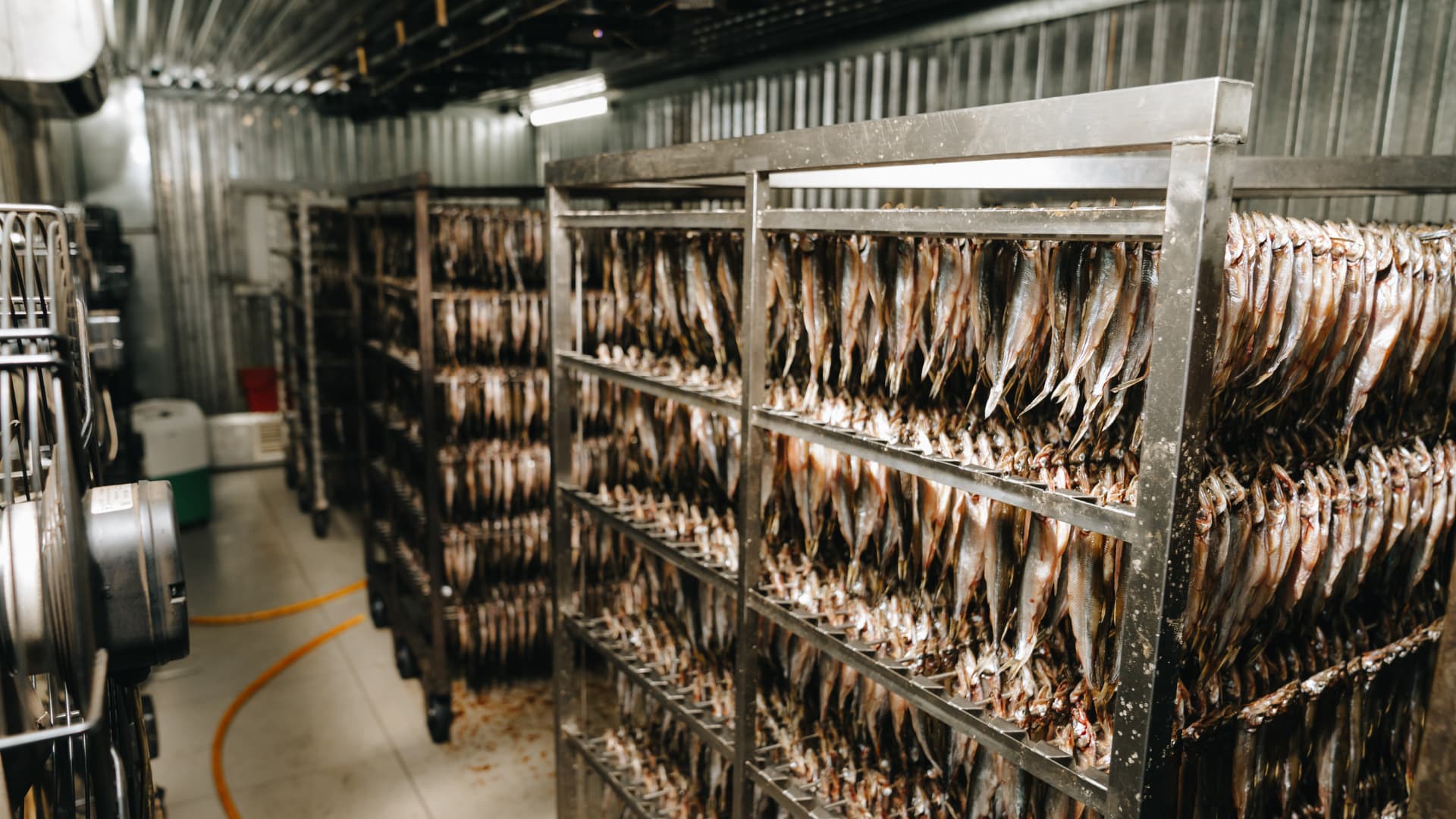 An image of drying fish stored on commercial kitchen racks. 